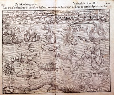 Plåt som representerar alla typer av marina och terrestra monster som finns i nordliga regioner: Xilografi hämtad från Sebastien Munsters Universal Cosmography. Bal av German School