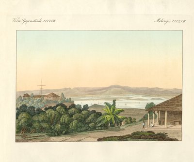 Pulu Penang (färgad gravyr) av German School
