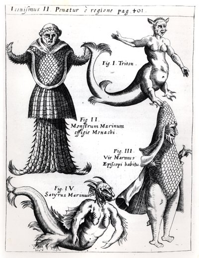 Havsmonster, illustration från Physica Curiosa av Gaspar Schott S.J. (1608-66), publicerad Würzburg 1662 av German School