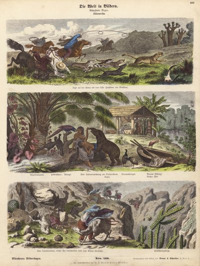 Sydamerika (färgad gravyr) av German School