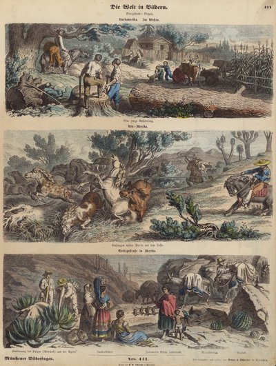 Den amerikanska västern: en ny bosättning; lasso vilda hästar i New Mexico; en bergsväg i Mexiko (färgad gravyr) av German School