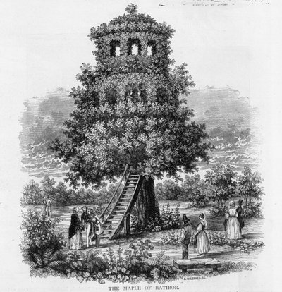 Lönnen av Ratibor, Schlesien, 1893 av German School