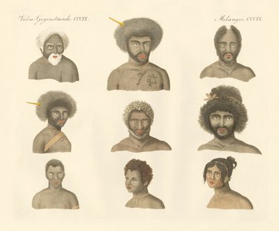 Papuanerna (färgad gravyr) av German School