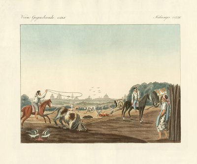 Söder om Matadero, ett av de offentliga slakterierna i Buenos Aires (färgad gravyr) av German School