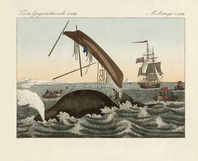 Farorna med valfiske (färgad gravyr) av German School