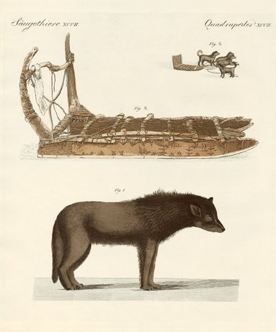 The Dog of the Baffin-bay (färgad gravyr) av German School