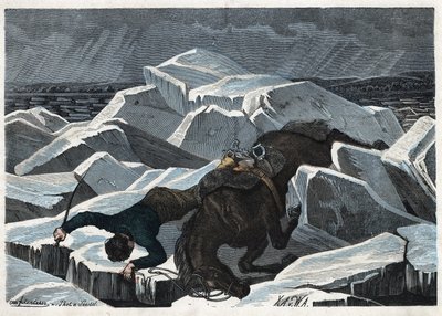 Greve Sandors och hans hästs fall på Donaus brutna is. I "" Wenn Jemand eine Reise thut, so kann er was erzahlen"" (När någon reser, detta är vad han kan berätta), tysk saga av Franz Wiedemann av German School
