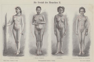 Människofiguren (gravyr) av German School