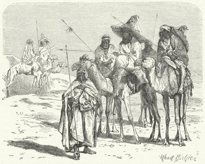 Tuaregs (gravyr) av German School