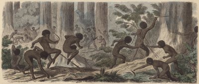Två stammar av australiensiska aboriginer slåss (färgad gravyr) av German School