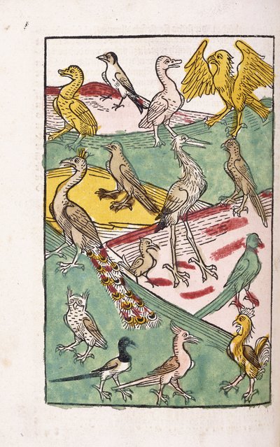 Olika fågelarter i ett landskap, 1499 av German School