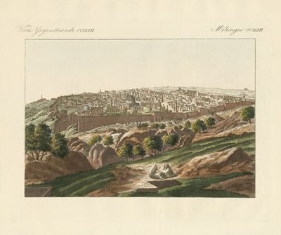 Utsikt över Jerusalem (färgad gravyr) av German School
