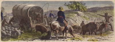Vagnståg i Sydafrika (färgad gravyr) av German School