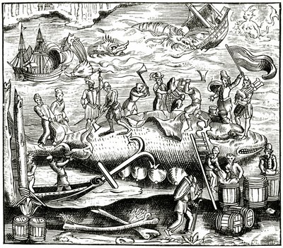 Valfiske, efter ett träsnitt i Cosmographie Universelle of Munster, publicerad 1552 av German School
