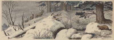 Vinterlandskap i Kanada (färgad gravyr) av German School