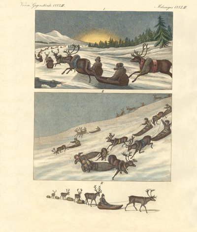 Vinterresor i Lappland (färgad gravyr) av German School