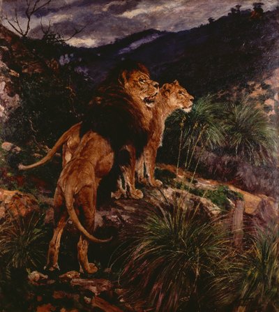 Lions Stalking (olja på duk) av Geza Vastagh