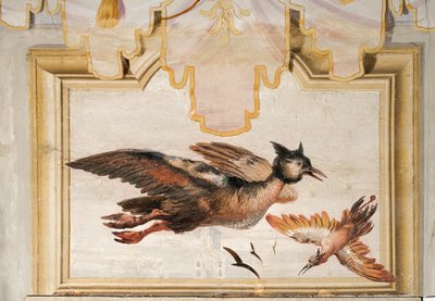 Ett par exotiska fåglar, från det kinesiska rummet i Foresteria, 1757 av Giovanni Domenico Tiepolo