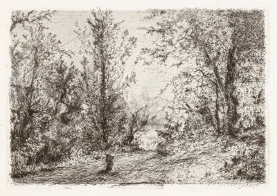 Skog vid Lago Maggiore [Skog vid Lago Maggiore] av Giberto Borromeo