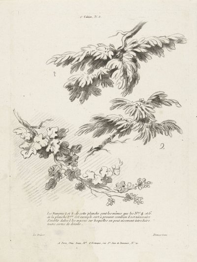 Studie av tre grenar med löv 1er Cahier de paysage (serietitel) av Gilles Demarteau