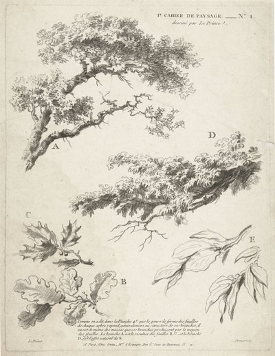 Studie av grenar med löv 1er Cahier de paysage (serietitel) av Gilles Demarteau
