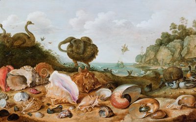 Snäckor och fåglar, bland annat en dront, på en havsstrand, Perseus räddar Andromeda i bakgrunden av Gillis Claesz d