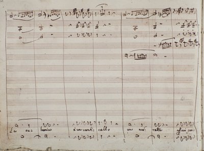 Partitur för La calunnia e un venticello aria, i The Barber of Sevilla (bläck på papper) av Gioachino Rossini