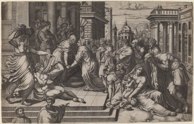 Besöket av Giorgio Ghisi after Francesco Salviati