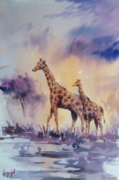 Afrikanska giraffer i solnedgången av Giorgio Gosti