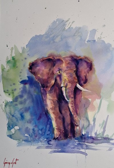 En majestätisk elefant i akvarell av Giorgio Gosti