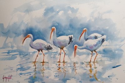 Reflektioner av vit ibis av Giorgio Gosti