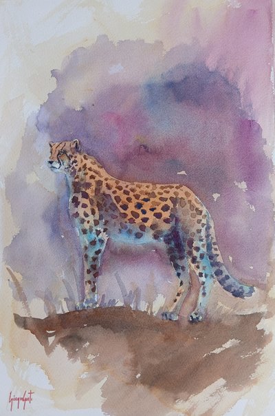 Gepard 13 av Giorgio Gosti
