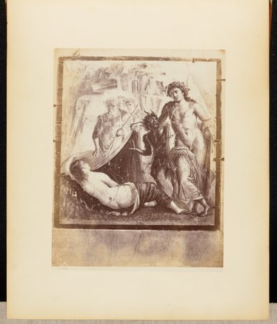 Färsk Bacchus och Ariadne Pompeji av Giorgio Sommer