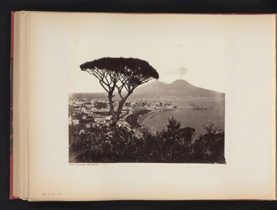 Vy över Neapel, Italien, med en tall i förgrunden Panoramadalen Vomero Napoli (titel på objektet) av Giorgio Sommer