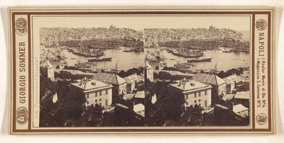 Panorama (Genua) av Giorgio Sommer