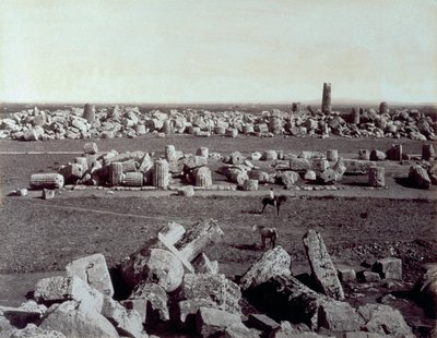 Panorama över resterna av Temple of Minerva och Temple of Apollo i Selinunte. Det finns en man till häst bland ruinerna av den arkeologiska platsen av Giorgio Sommer