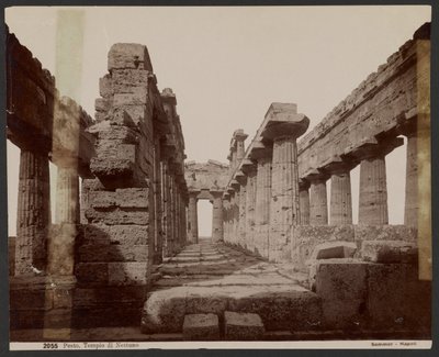 Neptunustemplet, Paestum av Giorgio Sommer