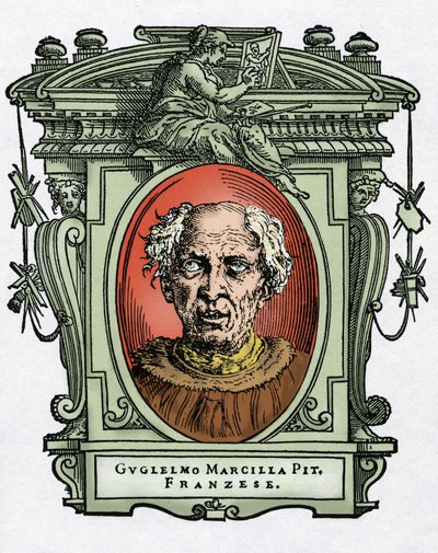 Porträtt av William av Marcillat av Giorgio Vasari