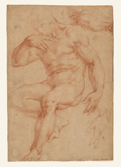 Studien eines männlichen Aktes, eines Gewandes und einer Hand av Giorgio Vasari