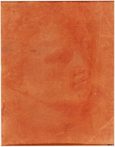 Chef i trekvartsprofil (recto); Stående ung man pekar åt vänster och skisser av fötter, arm (verso) av Giorgione