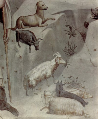 Scener ur Joachims liv: 5. Joachims dröm

 (detalj) av Giotto