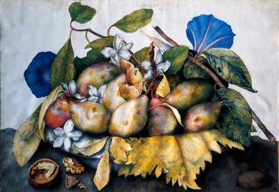 Tallrik med plommon, jasmin och nötter Målning på pergament av Giovanna Garzoni (1600-1670) av Giovanna Garzoni