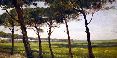 A Line of Old Pines (olja på panel) av Giovanni Costa