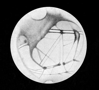 Mars dubbla kanaler (Mars-kanaler eller kanalkanaler), efter Giovanni Virginio Schiaparelli (1835-1910), italiensk astronom (1890) - i "" The Sky"", av Alphonse Berget, Larousse av Giovanni (after) Schiaparelli