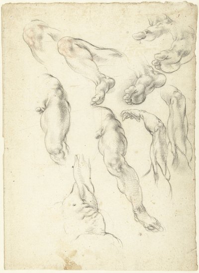 Studieblad med armar och ben av Giovanni Alberti