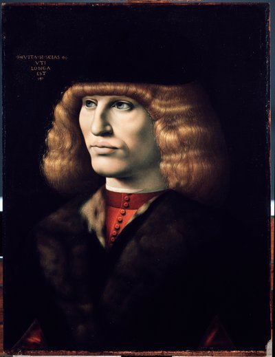 Porträtt av ung man, cirka 1495 (olja på trä) av Giovanni Ambrogio de Predis