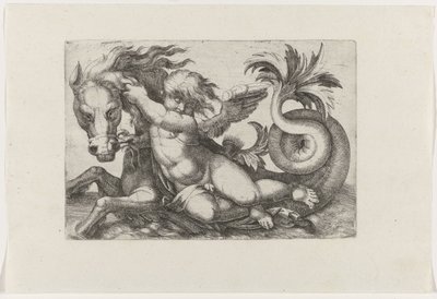 Putto rider på sjöhäst av Giovanni Andrea Maglioli