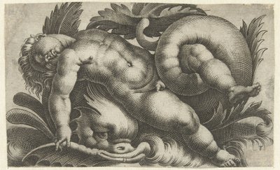 Sova putto på delfin Putti på havsdjur (serietitel) av Giovanni Andrea Maglioli