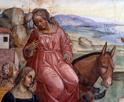 Benedict lämnade sin fars hus och åkte till Rom för att studera Detalj av Benoits tjänare, Cyrilla - Fresk av klosterbrodern realiserad av Antonio Bazzi dit il Sodoma (1477-1549) som berättar om livet för Sankt Benedictus av Nursia (480 - 567) grundare av  av Giovanni Antonio Bazzi Sodoma