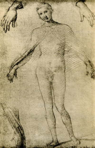 Modellstudie för en jungfru Maria som mater misericordiae av Giovanni Antonio Bazzi Sodoma